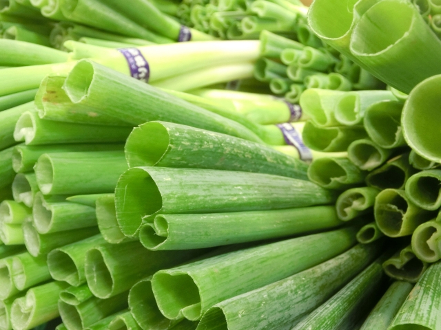 ねぎに青い部分があるのはなぜ 食べても栄養になるの よし坊のいきなくらし