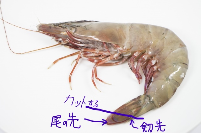 海老 えび に毒があるって本当 よし坊のいきなくらし